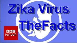 Zika virus What you need to know  BBC News [upl. by Nyrhtac]