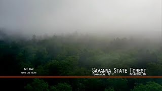 Savanna State Forest  MN  June 2019 [upl. by Novyat]