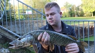 SCTV Episode 26 River Mole Pike Fishing Ft Aarons Dad [upl. by Setsero]