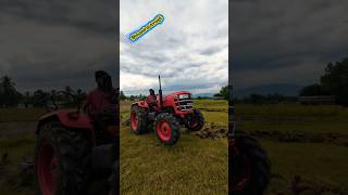 Mahindra yuvo tech plus 585 4wd 5point cultivator performance tractor farming plants shorts [upl. by Neiluj]