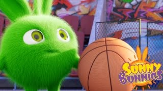 Cartoons for Children  Sunny Bunnies THE SUNNY BUNNIES PLAY BASKETBALL Funny Cartoons For Children [upl. by Friedberg]