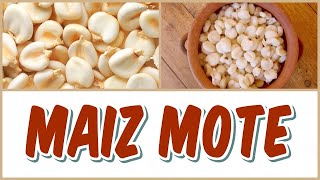 PROPIEDADES Y BENEFICIOS DEL MAIZ MOTE [upl. by Sweatt289]