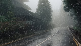 Maravilloso Sonido de Lluvia para Dormir Relajante Estudio Meditación  Lluvia en Bosque Brumoso [upl. by Adniuqal744]