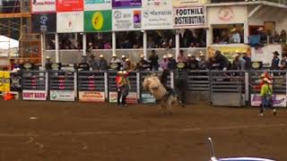 EXTREME BULL RIDING Redding Rodeo 050618 Redding California Bullarama 10 [upl. by Venuti]