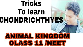 Tricks to learn the examples of CHONDRICHTHYES NCERT CLASS 11 ANIMAL KINGDOM IMP FOR NEET [upl. by Hew224]