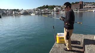 20241104 DAIWA 24 TOURNAMENT ISO AGS（ ダイワ トーナメント磯 2024年）フカセ釣り 堤防・波止 グレ釣り 実釣動画 by LAK PRODUCTS [upl. by Delphina]