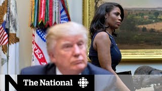 Trump calls Omarosa a dog in latest insult [upl. by Pearse]