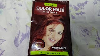 Color Mate Hair Color Burgundy REVIEW  No Ammonia  Pricing  Best Hair Colors for Sensitive Skin [upl. by Ycal901]