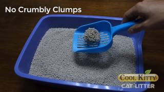 Cool Kitty Clumping Cat Litter [upl. by Ameh]