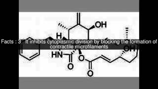 Cytochalasin B Top 7 Facts [upl. by Yrrag]