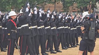 Royal Marine gun salute Marine sings let it be what a beautiful voice she has thekingsguard [upl. by Cirdes]