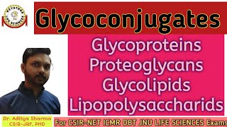 Glycoconjugates Basic concept GlycoproteinsGlycolipidsProteoglycans By Keystone Life sciences [upl. by Marlin]