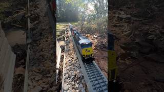 Garden Railroad csx lionel gardenrailway garden norfolksouthern trains trainspotting [upl. by Martinic]