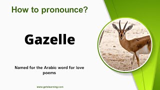 How to pronounce Gazelle in English Correctly [upl. by Chandos]