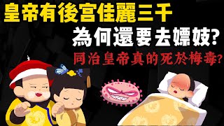 皇帝有後宮佳麗三千 為何還要去嫖妓 同治皇帝真的死於梅毒 [upl. by Ardnasil221]