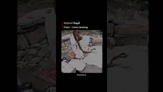 Nepal 🇳🇵 Muktinath temple viralshort automobile shortvideo [upl. by Ajad371]