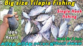 Single Hook fishing tamil Unbelievable tilapia fishing fishing video fishing fishingvideos fish [upl. by Odlavso222]