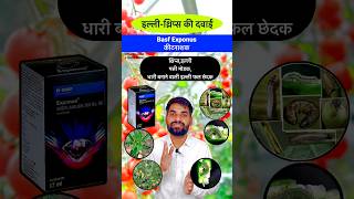 इल्ली थ्रिप्स की सबसे सुरक्षित कीटनाशक दवा  Best Thrips control insecticide  illi ki dawa shors [upl. by Eceela]