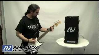 Guitar Amp and Portable PA System Great for Live Sound  Wireless Bass Amplifier [upl. by Enellek204]