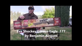 Eva Shockey Golden Eagle 177 Air Rifle  Accuracy Review Testing with Centerpoint TAG Reticle Scope [upl. by Thebazile981]