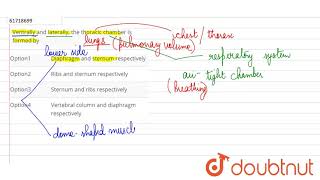 Ventrally and laterally the thoracic chamber is formed by [upl. by Orvan836]