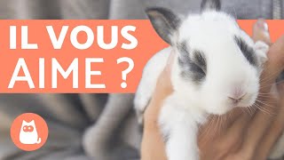 Comment savoir si mon lapin maime   5 signes révélateurs [upl. by Marin]