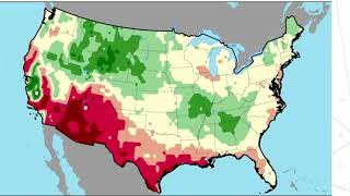 Advance Trading Soybean Market Update 822023 [upl. by Anits]