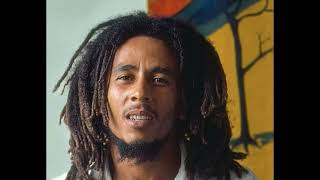 Bob Marley amp The Wailers  Rastaman Live Up single [upl. by Ayitahs753]