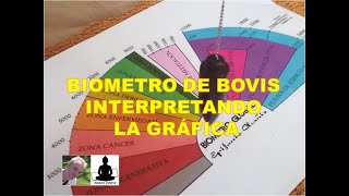 BIOMETRO DE BOVIS INTERPRETANDO LA GRÁFICA [upl. by Pearson652]