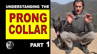 PRONG Collar Explained 1 How to Use a Prong Collar  Robert Cabral  Dog Training Video [upl. by Haziza]