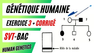 ✅SVTBac GÉNÉTIQUE HUMAINE Méthode danalyse de pédigrée  Exercice 3  Corrigé [upl. by Eads]