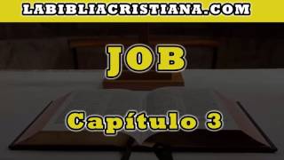 Job capitulo 3  La Biblia en audio [upl. by Yodlem639]