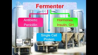 Fermenter Working IGCSE 0610  O level biology 5090 [upl. by Whitehouse62]