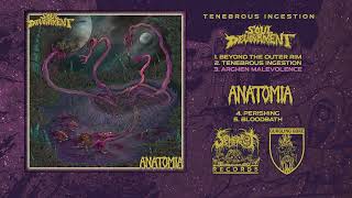 Soul Devourment USA  Anatomia Jpn  Tenebrous Ingestion Split 2024 [upl. by Suirad]