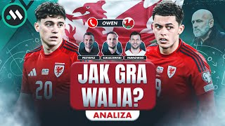 WALIA BEZ TAJEMNIC CO CZEKA REPREZENTACJĘ POLSKI W CARDIFF ANALIZA [upl. by Odlaumor]