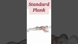 2 Plank Variations for a Strong Core  Quick Abs Workout [upl. by Artapoelc]