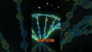 The Role of Genetics in Understanding Human Evolution [upl. by Voltmer]