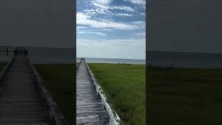 crabbing in crisfield Maryland for blue crabs crabbing bluecrab [upl. by Saffian581]