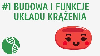 Budowa i funkcje układu krążenia 1  Krążenie [upl. by Notniuq]