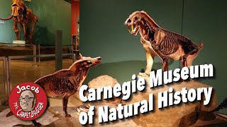 Secrets of the Carnegie Museum of Natural History [upl. by Yelrebmyk]