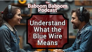 What Does The Blue Wire Mean in Electrical Systems  Baboom Baboom Podcast [upl. by Artinek]