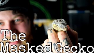 UNBOXING THE RAREST GECKO EVER [upl. by Waterman226]