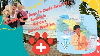 Tips for Bringing Your Dogs to Costa Rica [upl. by Essirehs]