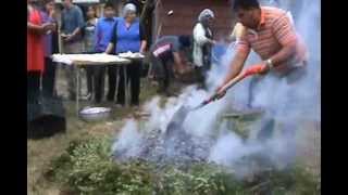 Curanto en Hoyo en Yaldad 2012wmv [upl. by Cuttler412]