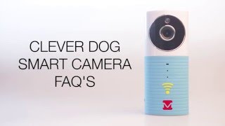 Clever Dog FAQs [upl. by Aelaza]