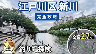 東京江戸川区「新川」釣り場探検｜千本桜と桜まつりで有名な歴史ある運河。ハゼ釣りポイントを探して東端から西端まで27kmを走ってみた [upl. by Acsecnarf687]