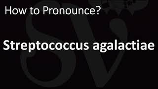 How to Pronounce Streptococcus agalactiae CORRECTLY [upl. by Nikolaus]