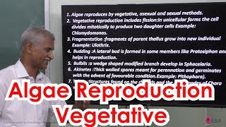 7Botany  Kingdom Plantae  Algae reproduction  vegetative [upl. by Ahsilra]