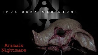 True Dark Web Stories That Actually Happened Very Scary Dont Watch Before Bed [upl. by Shabbir]