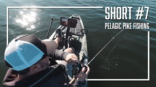 Short 7  Pelagic Pike Fishing vom Kajak  Polestar Fishing Kayaks [upl. by Gerstein]